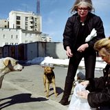 Auch um Straßenhunde in Bukarest hat sich La Bardot gekümmert