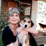 Nahezu ihr gesamtes späteres Leben widmete sie dem Tierschutz – dazu gründete sie die Stiftung "La Fondation Brigitte Bardot"