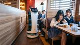 Roboter mit Katzengesicht