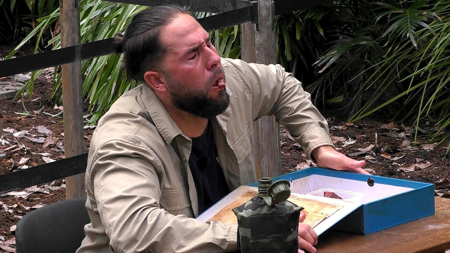 In der ersten Dschungelprüfung müssen die zwölf Teilnehmer zur "Bährufs-Bähratung" im Job-Center von Murwillumbah antreten. Jeder bekommt ein Gericht zur Verkostung vorgesetzt, passend zu einem Beruf. Maurice scheitert an einem Schweineherz und holt damit keinen Stern
