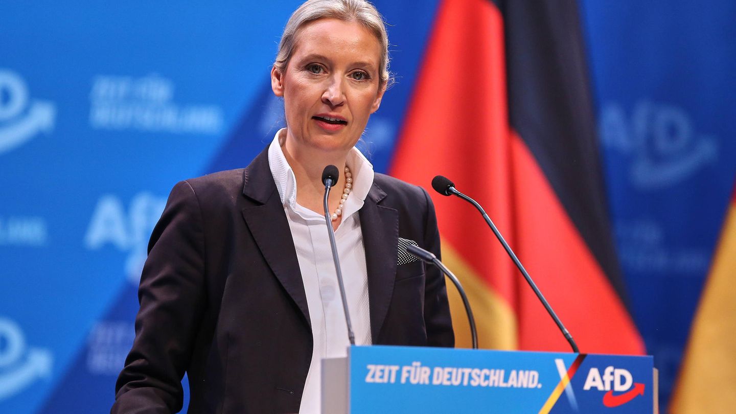 Alice Weidel (AfD) Alice Weidel