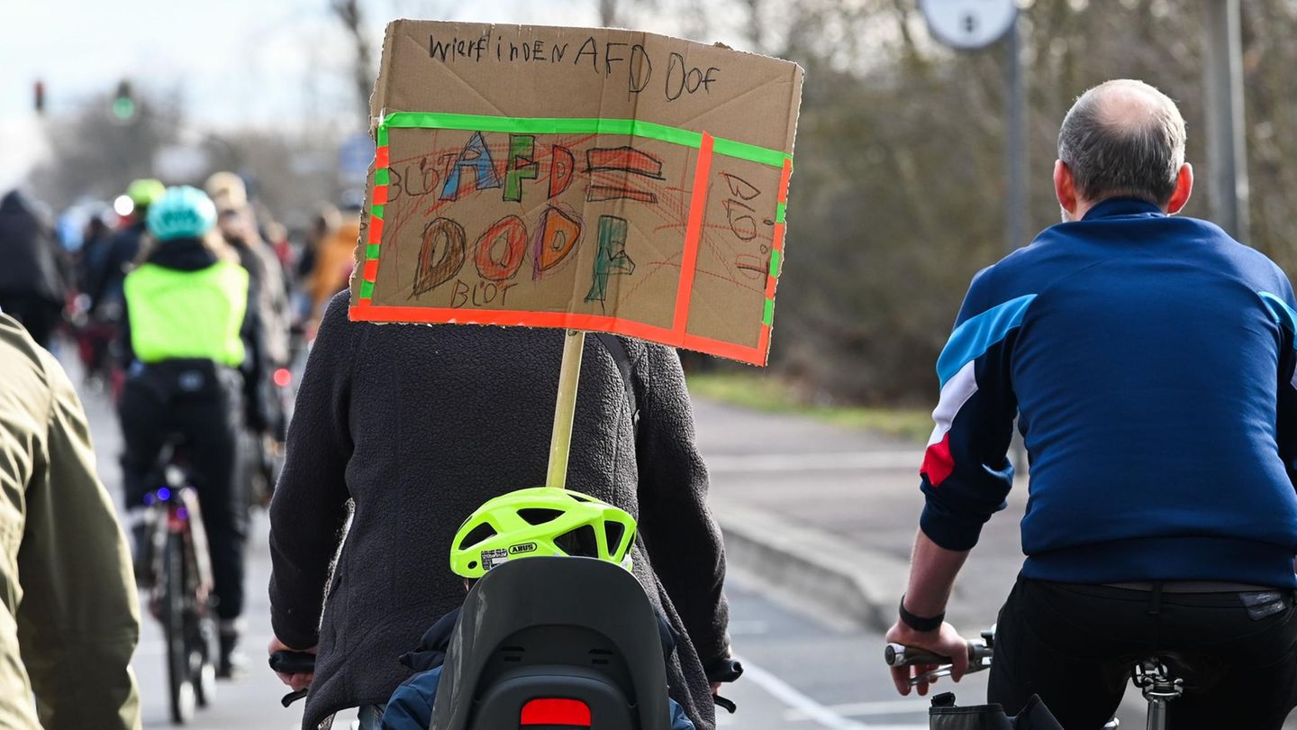 Auch in Halle, wo die AfD am Samstag eine Wahlkampfveranstaltung abhielt, versammelten sich die Menschen für eine Gegendemo