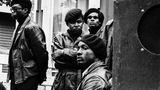 Mitglieder der sozialistisch-revolutionären Black Panther Party