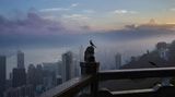 Buchvorstellung: Hongkong von Palani Mohan / Mareverlag