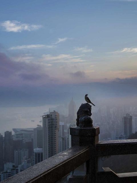 Buchvorstellung: Hongkong von Palani Mohan / Mareverlag