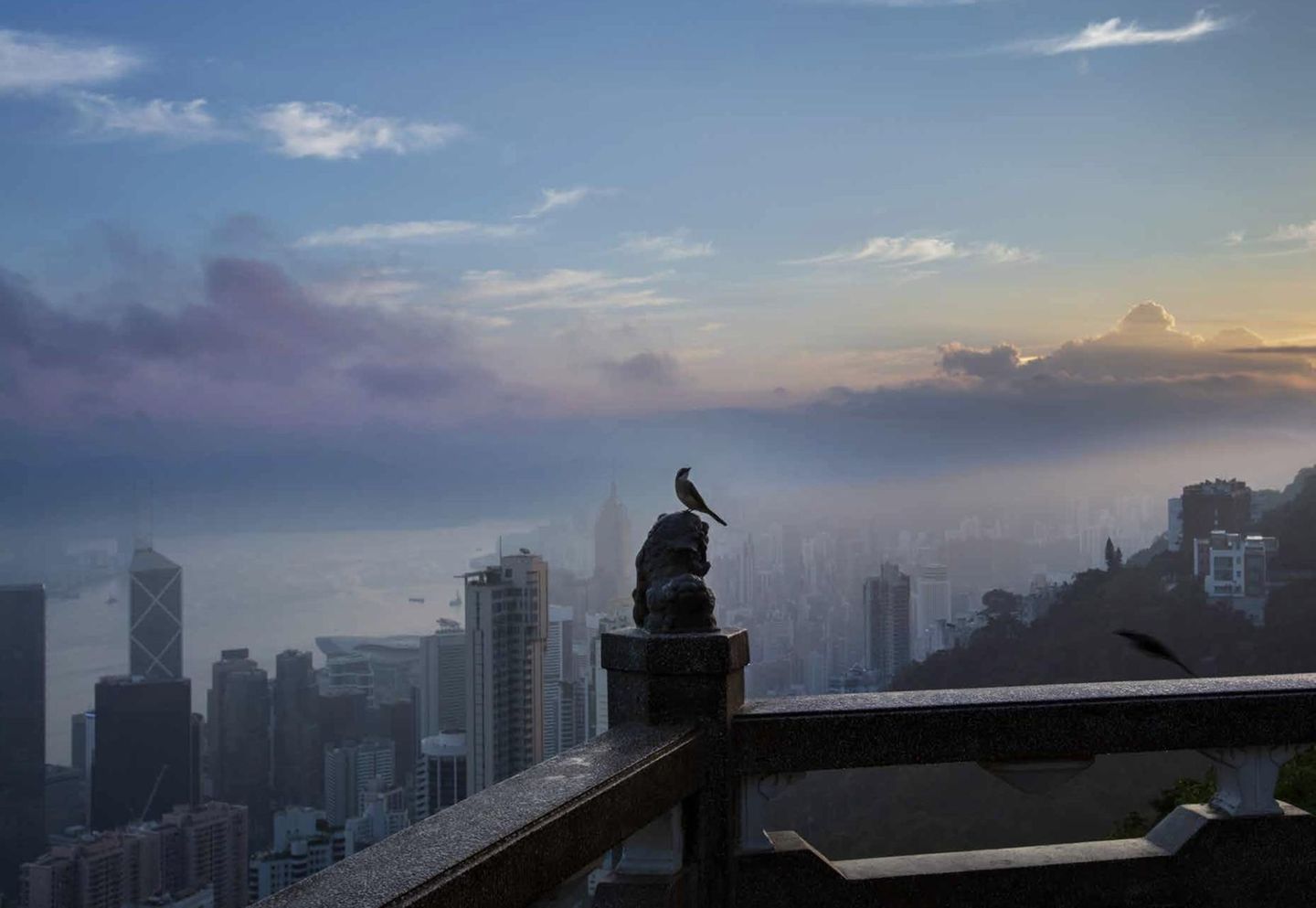 Buchvorstellung: Hongkong von Palani Mohan / Mareverlag