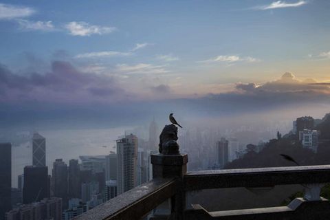 Buchvorstellung: Hongkong von Palani Mohan / Mareverlag