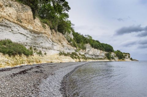 Die Stevns-Klippen in der Nähe von Kopenhagen, Dänemark