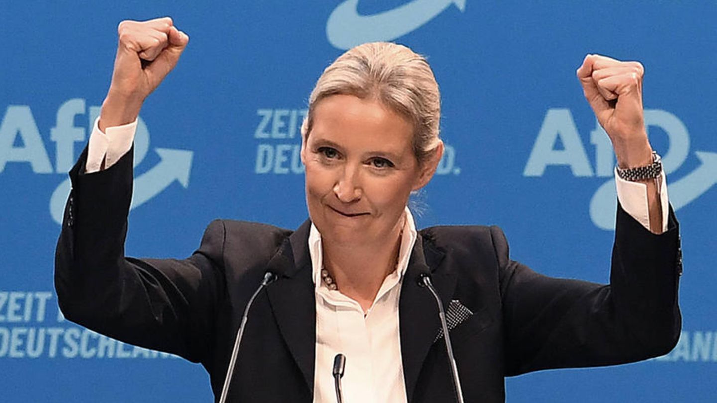 AfD apparently wants to agree to Union applications for migration