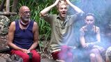 Dschungelcamp