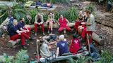 Dschungelcamp