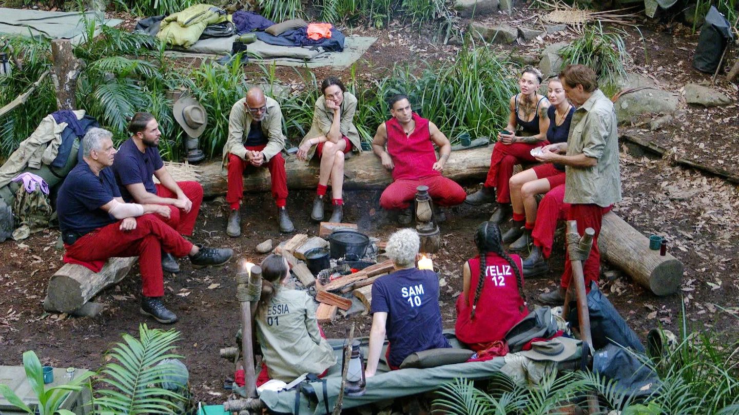 Dschungelcamp