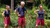 Dschungelcamp