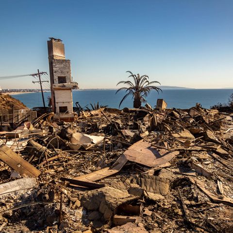 Nach dem Waldbrand des Palisades Fire erstreckt sich eine Trümmerlandschaft aus verbrannten Ruinen bis zum Meer