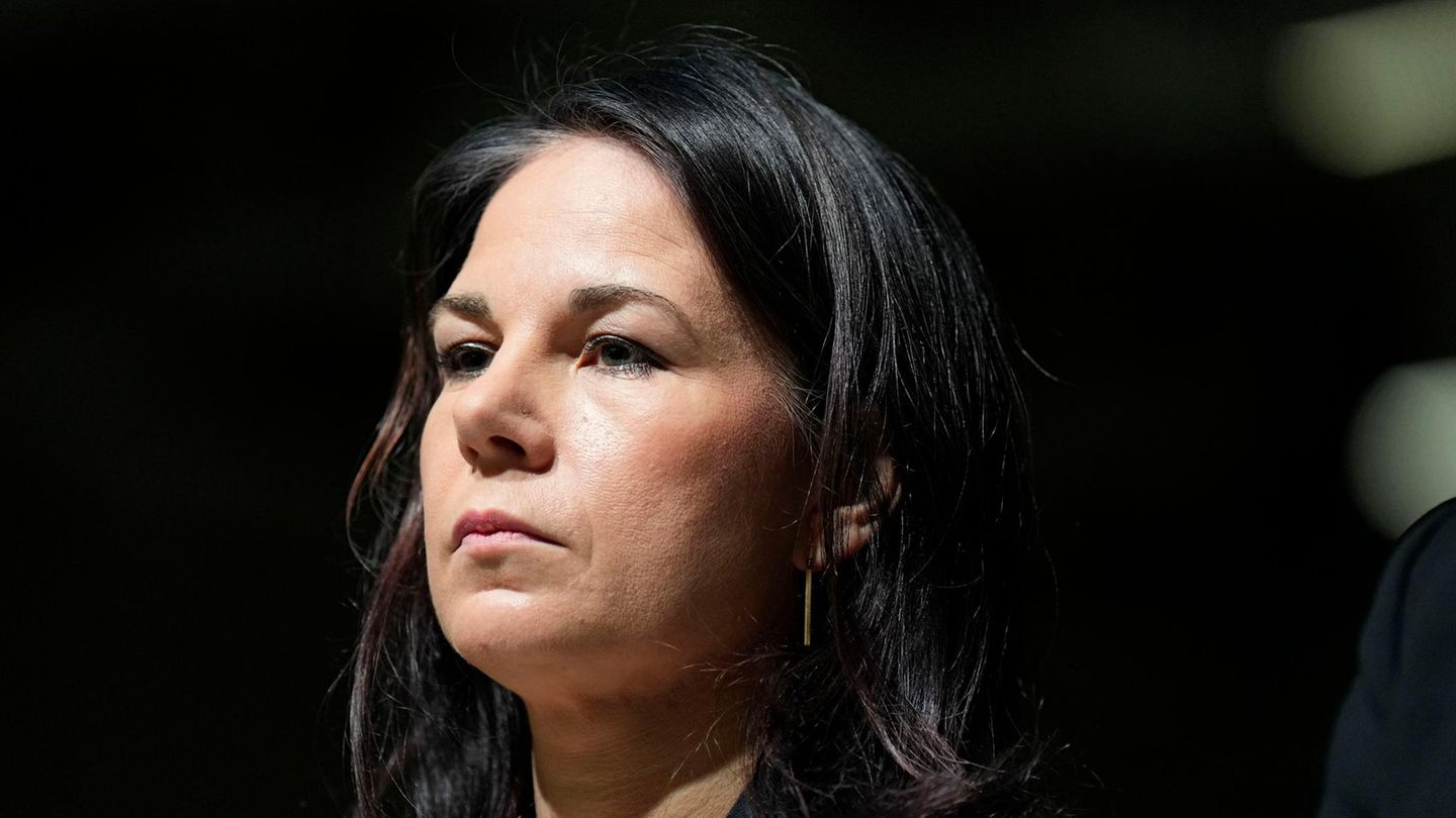 Annalena Baerbock: politicians are not protected enough