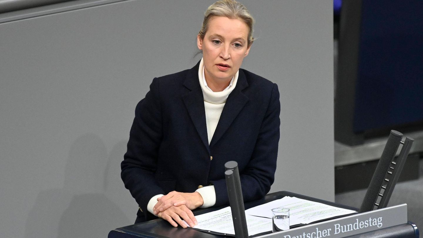 Alice Weidel allegedly disturbed with laser pointer in speech