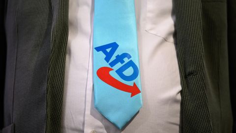 Millionen-Spende an AfD: Unternehmer fordert Geld zurück | STERN.de