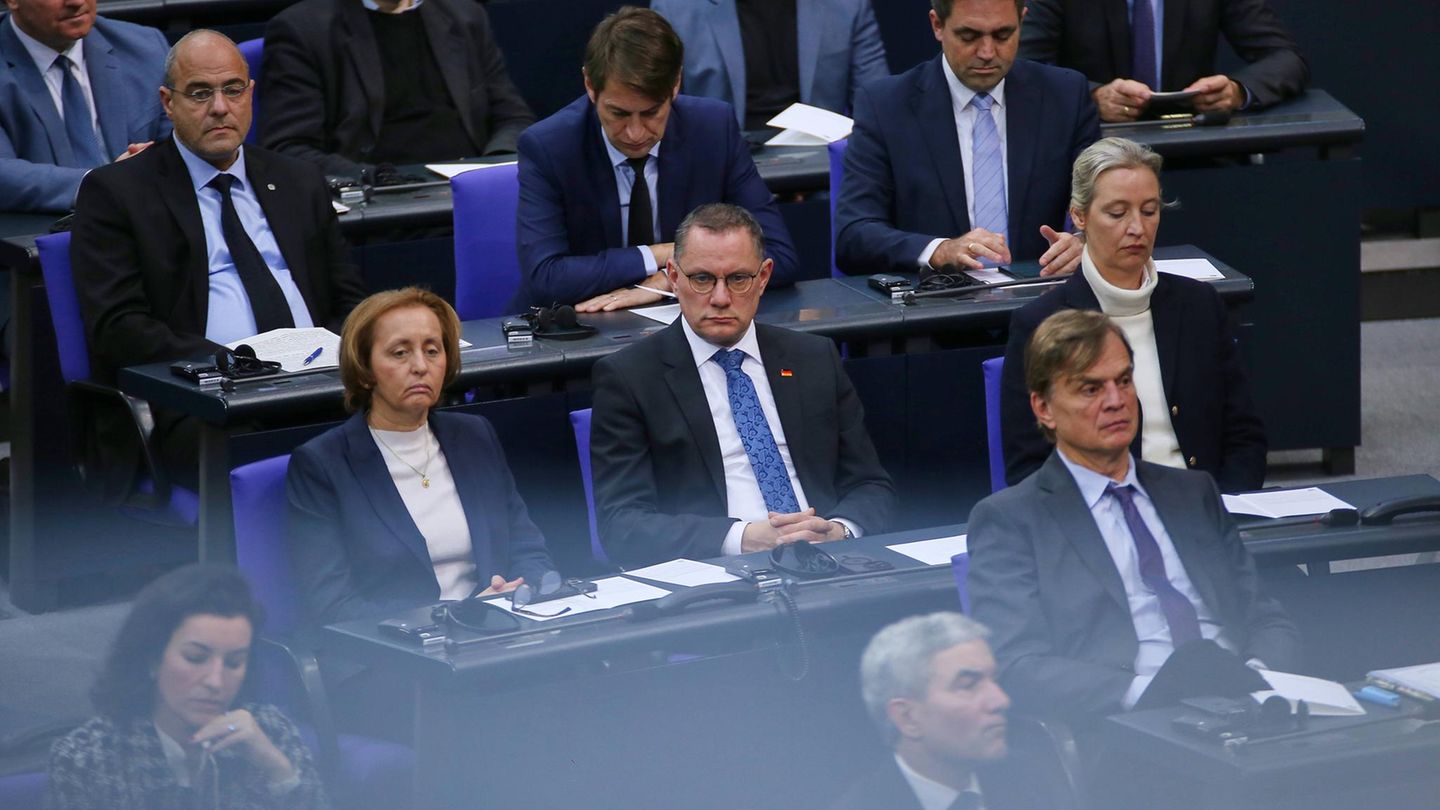 AfD ban? Bundestag debates on the application by MPs