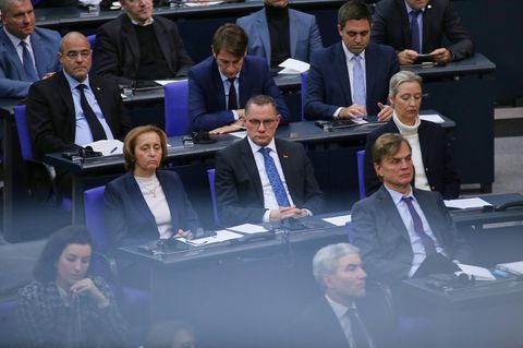 Fraktion der AfD im Bundestag