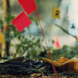 Am 8. September 1994 stürzte ein Flugzeug der USAir bei der Landung in Pittsburgh ab. Dabei kamen 127 Passagiere und fünf Besatzungsmitglieder ums Leben. Beim Landeanflug verloren die Piloten die Kontrolle über das Flugzeug. Das Flugzeug neigte sich nach links, ging dann in einen Sturzflug über und schlug mit der Nase voran und hoher Geschwindigkeit auf dem Boden auf. Die Boeing 737 wurde durch den Aufprall und das Feuer zerstört. Das NTSB kam zu dem Schluss, dass ein plötzlicher Vollausschlag des Seitenruders zum Kontrollverlust der Piloten führte. Der Ausschlag des Seitenruders wurde durch ein blockiertes Ventil verursacht