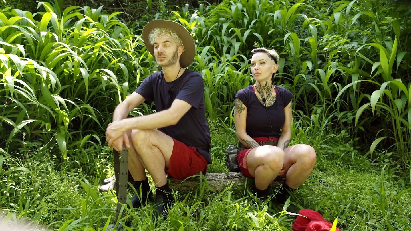 Dschungelcamp