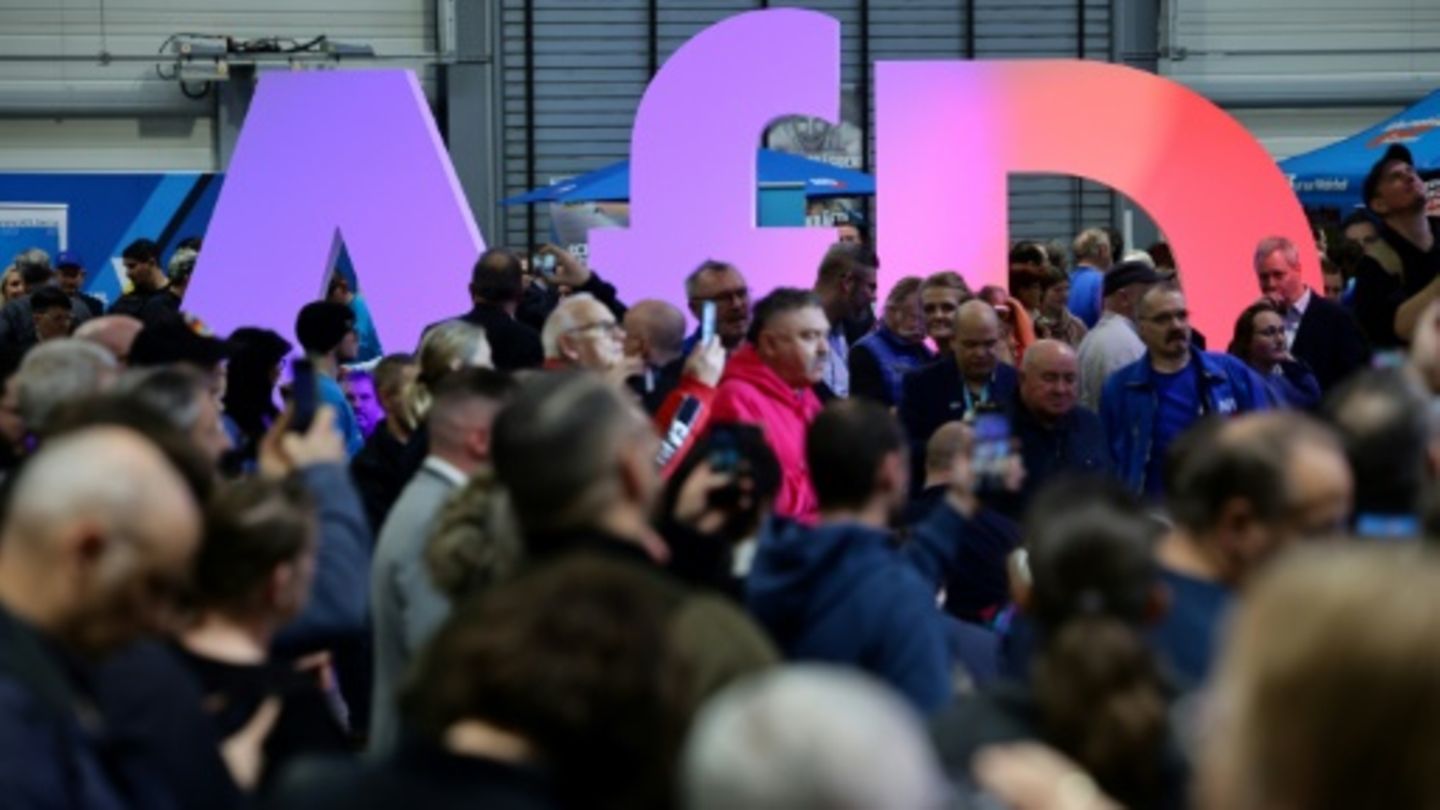AfD-Logo und AfD-Anhänger