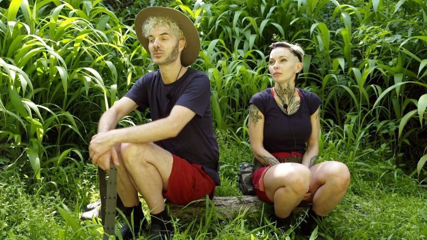 Dschungelcamp: Edith Stehfest und Sam Dylan als Albtraum-Duo | STERN.de