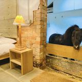 Eine geniale Idee – und doch so simpel! Im britischen Thurgarton, nahe dem berühmten Sherwood Forest, bieten die ausgemachte Tierfreundin Brittany und ihre Familie eine "Übernachtung mit Mini-Pferd Basil" an. Basil ist ein freundlicher Shetland-Hengst, der tagsüber mit seinen Pferdefreunden auf der Weide herumtollt und nachts in seinem geräumigen Stall schläft – mit großem Fenster zum gemütlich eingerichteten Gästezimmer. Hier freut er sich über Streicheleinheiten und Snacks. Das Zimmer kann über Airbnb gebucht werden, Brittany macht aber ausdrücklich darauf aufmerksam, dass es unter den gegebenen Umständen natürlich etwas nach Pferd riechen kann und nachts vielleicht nicht komplett still ist, wenn Basil nebenan rumort. Auf dem schönen Landgut gibt es außerdem noch zahlreiche andere Tiere – alle werden rein als Haustiere gehalten, nicht als Nutztiere. Zu sehen sind Highland-Kühe, Schafe, Schweine, Katzen und weitere Pferde – auch deutlich größere als Basil! Da das kleine Pony mit dem großen Charakter inzwischen fast eine kleine Berühmtheit ist, sollte man einen Übernachtungsbesuch bei ihm mit längerer Vorlaufzeit planen – das Zimmer ist oft schon für mehrere Monate ausgebucht