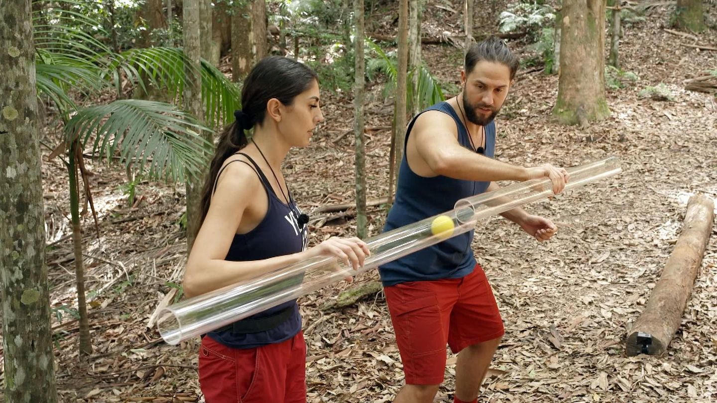 Die erste Schatzsuche im Dschungelcamp 2025 steht noch aus. Yeliz Koc und Maurice Dziwak sind für das Team erlaubt 