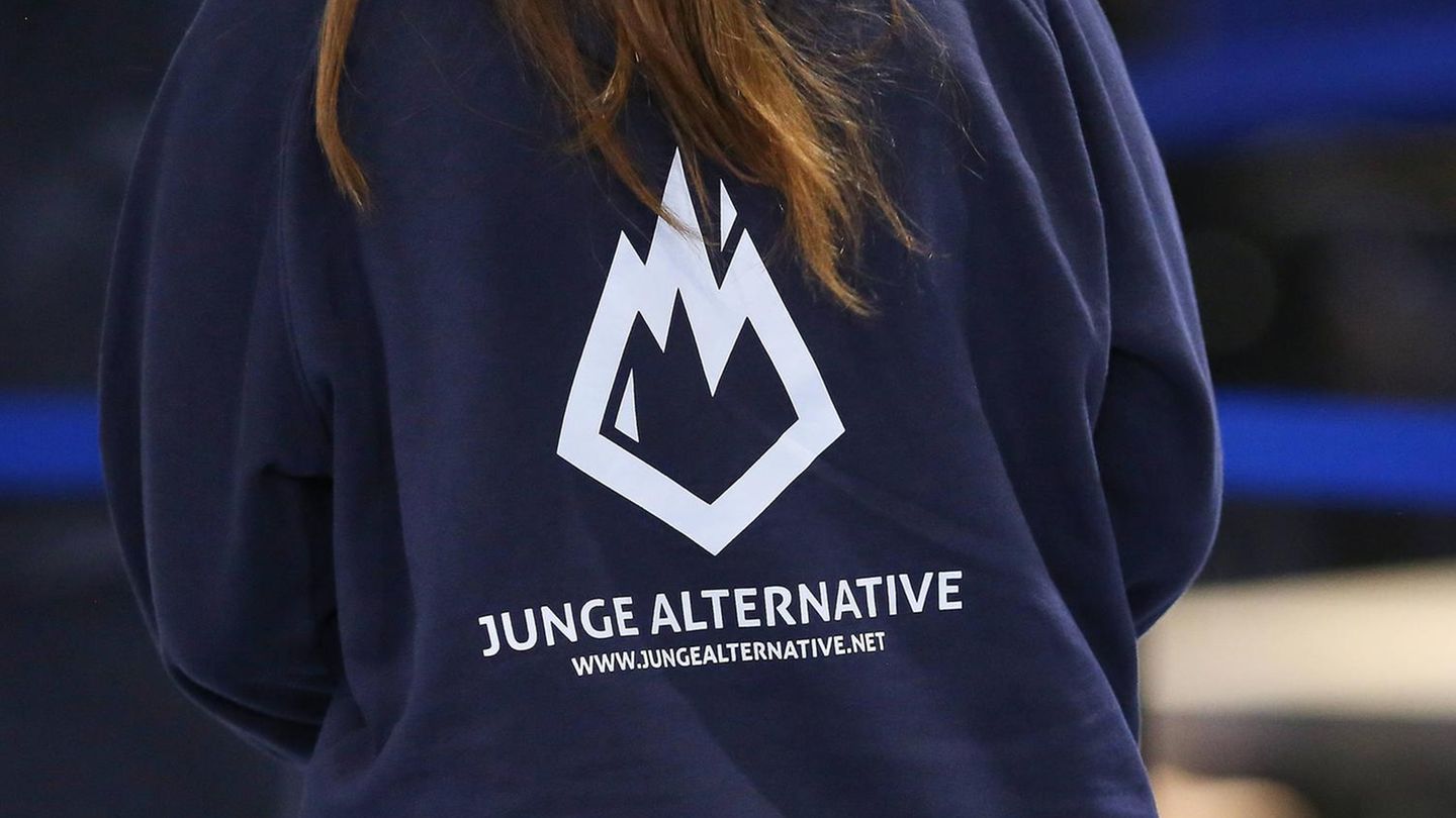 Young alternative: AfD youth organization dissolves
