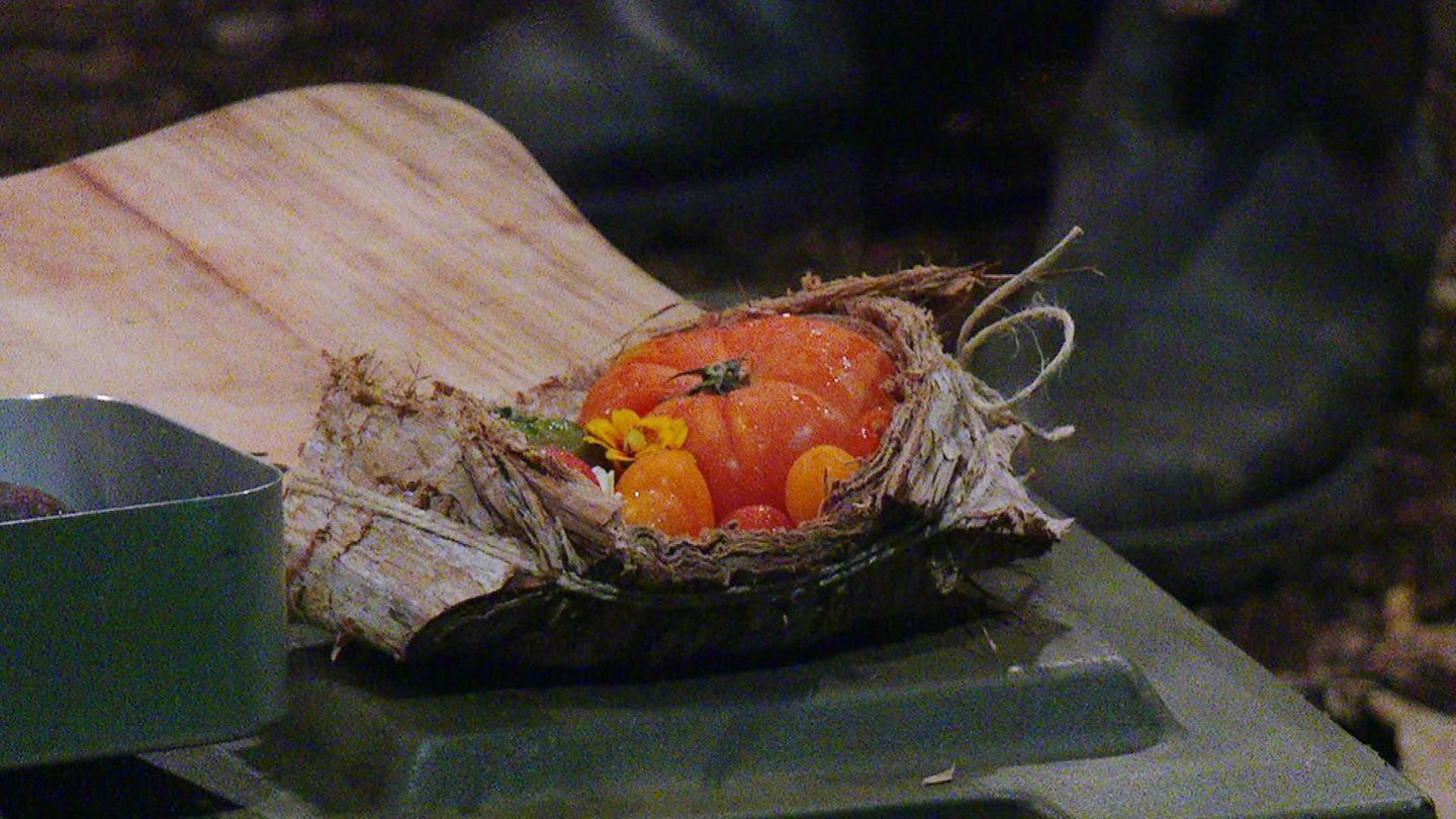 Dschungelcamp