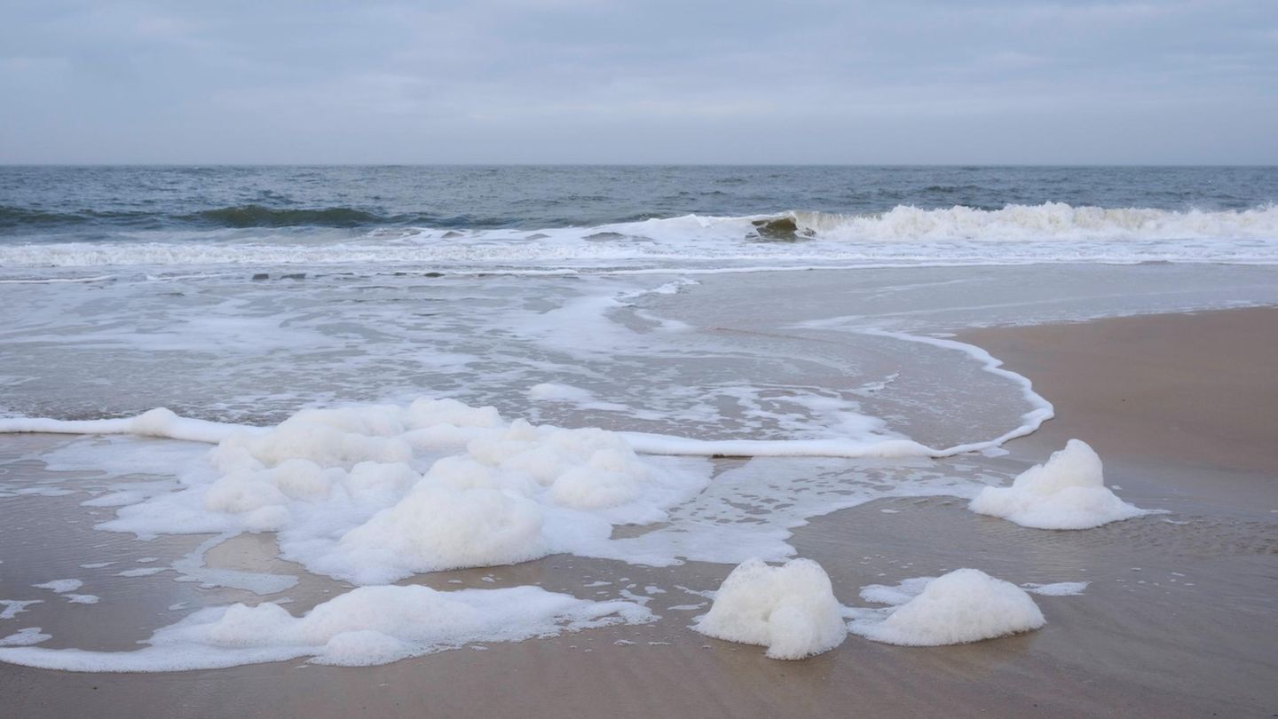 Greenpeace-Studie: Schaum an Nord- und Ostsee mit giftigen Chemikalien verseucht