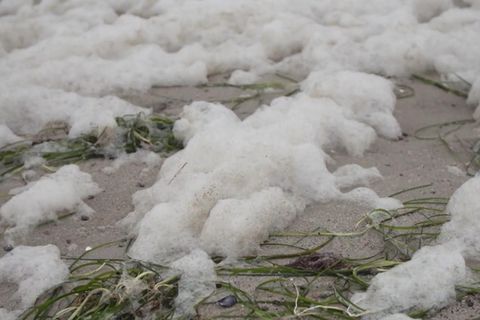 Greenpeace entdeckt giftige Chemikalien in Konzentrationsmengen weit über dänischen Grenzwerten. Deutschland hat bis jetzt jedoch keinerlei Grenzwerte festgelegt.