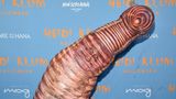 Heidi Klum als Wurm