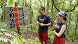 Dschungelcamp Schatzsuche