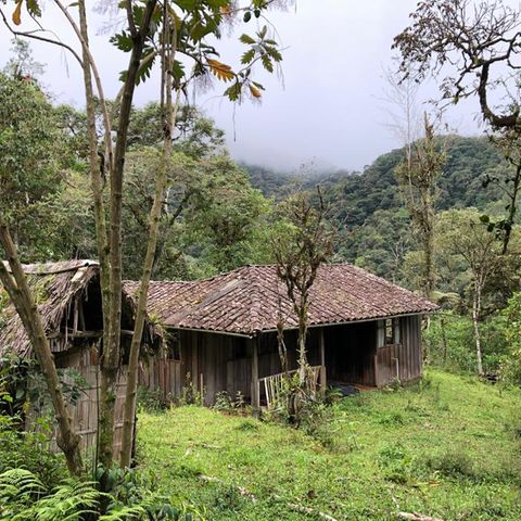 Ecuador: Hausansicht im Wald