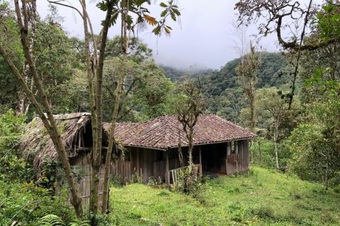 Ecuador: Hausansicht im Wald