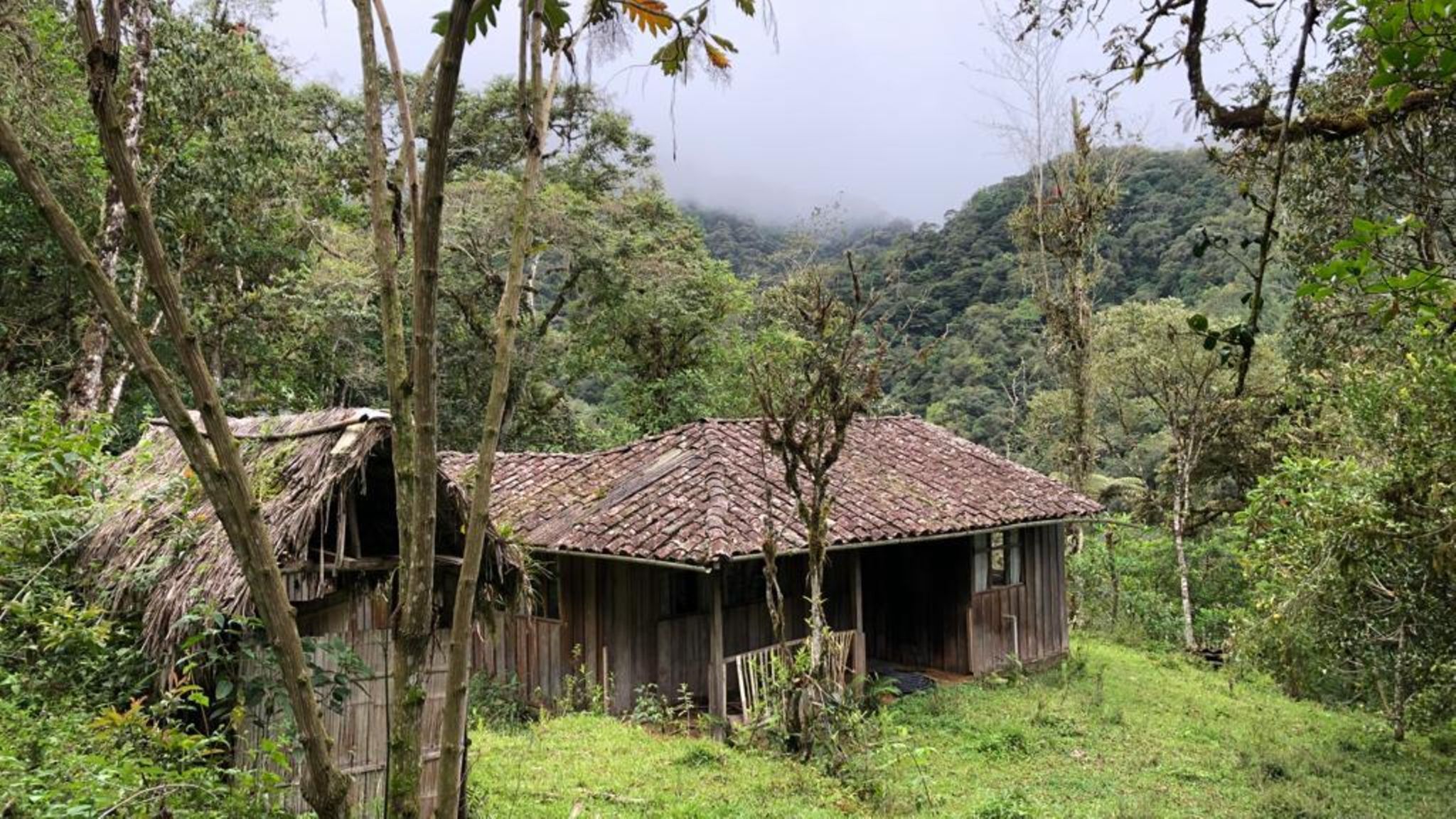 Ecuador: Hausansicht im Wald