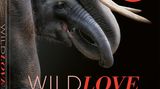 Cover zu WildLOVE von Pedro Jarque Krebs / teNeues Verlag