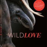 Cover zu WildLOVE von Pedro Jarque Krebs / teNeues Verlag