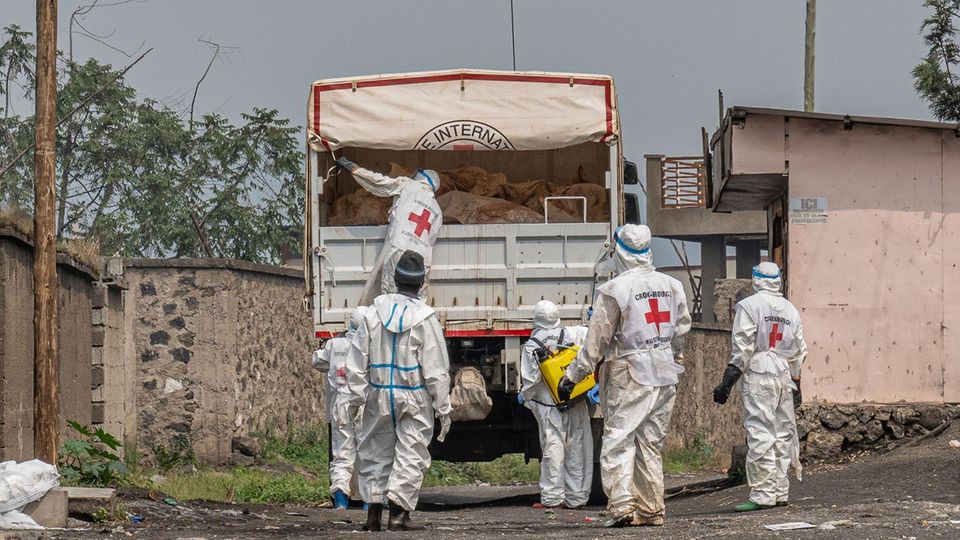 Mindestens 900 Tote nach tagelangen Kämpfen um die Stadt Goma Mitarbeiter des Roten Kreuz legen Leichen der Kämpfe um Goma in einen Lastwagen