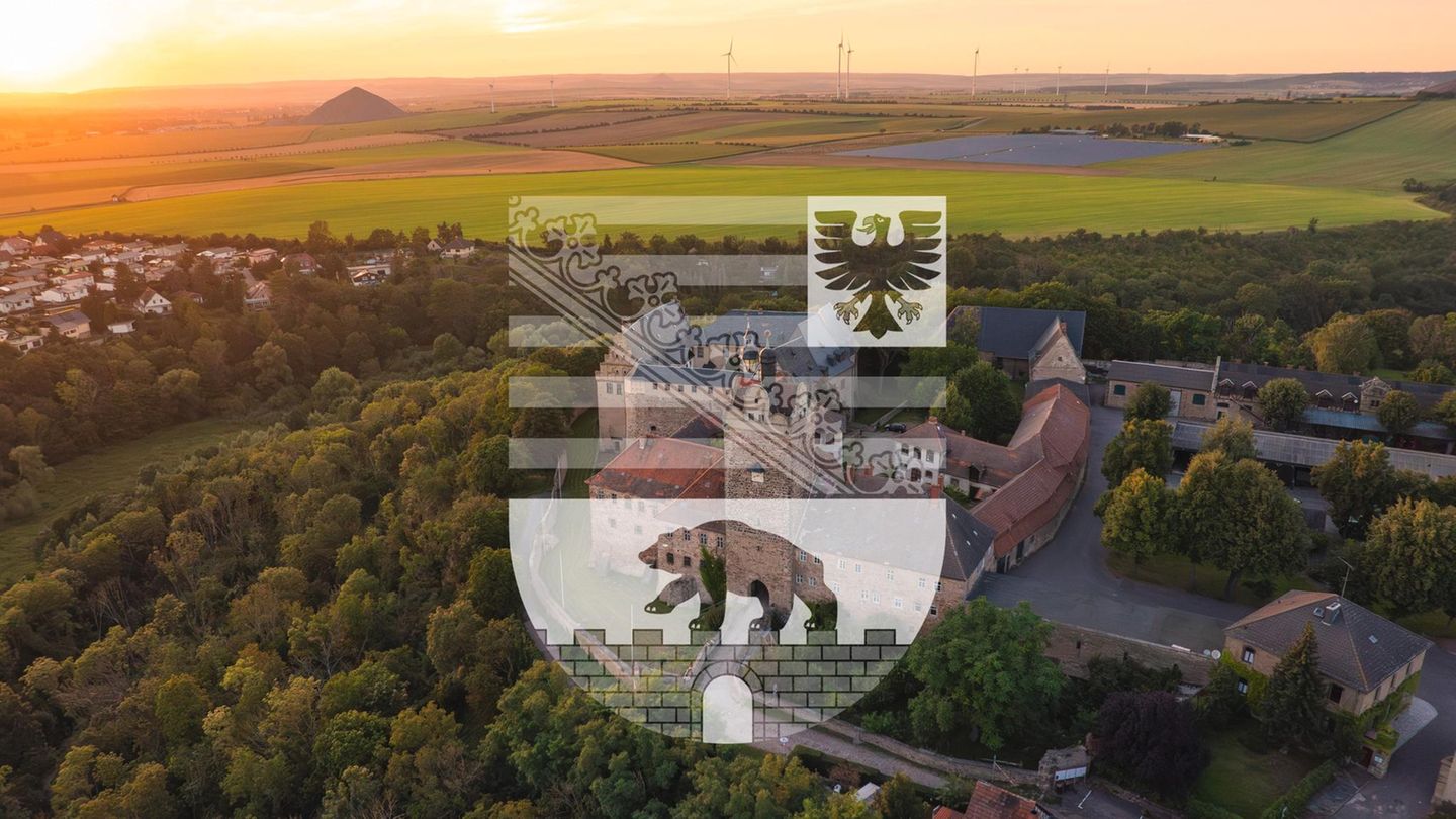 Burg im Harz im Abendlicht mit Wappen Sachsen-Anhalts, das Land hat einen Wahlkreis weniger als 2021 Burg im Harz im Abendlicht mit Wappen Sachsen-Anhalts, das Land hat einen Wahlkreis weniger als 2021