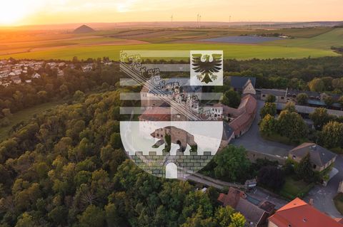 Burg im Harz im Abendlicht mit Wappen Sachsen-Anhalts, das Land hat einen Wahlkreis weniger als 2021