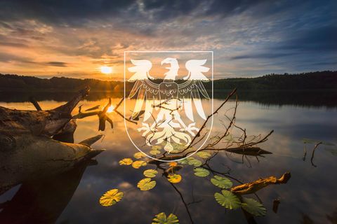 Sonnenaufgang an einem See in Brandenburg mit Wappen, das Land hat zehn Wahlkreise