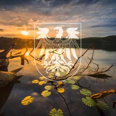 Sonnenaufgang an einem See in Brandenburg mit Wappen, das Land hat zehn Wahlkreise