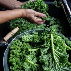 Omega-3 in Grünkohl