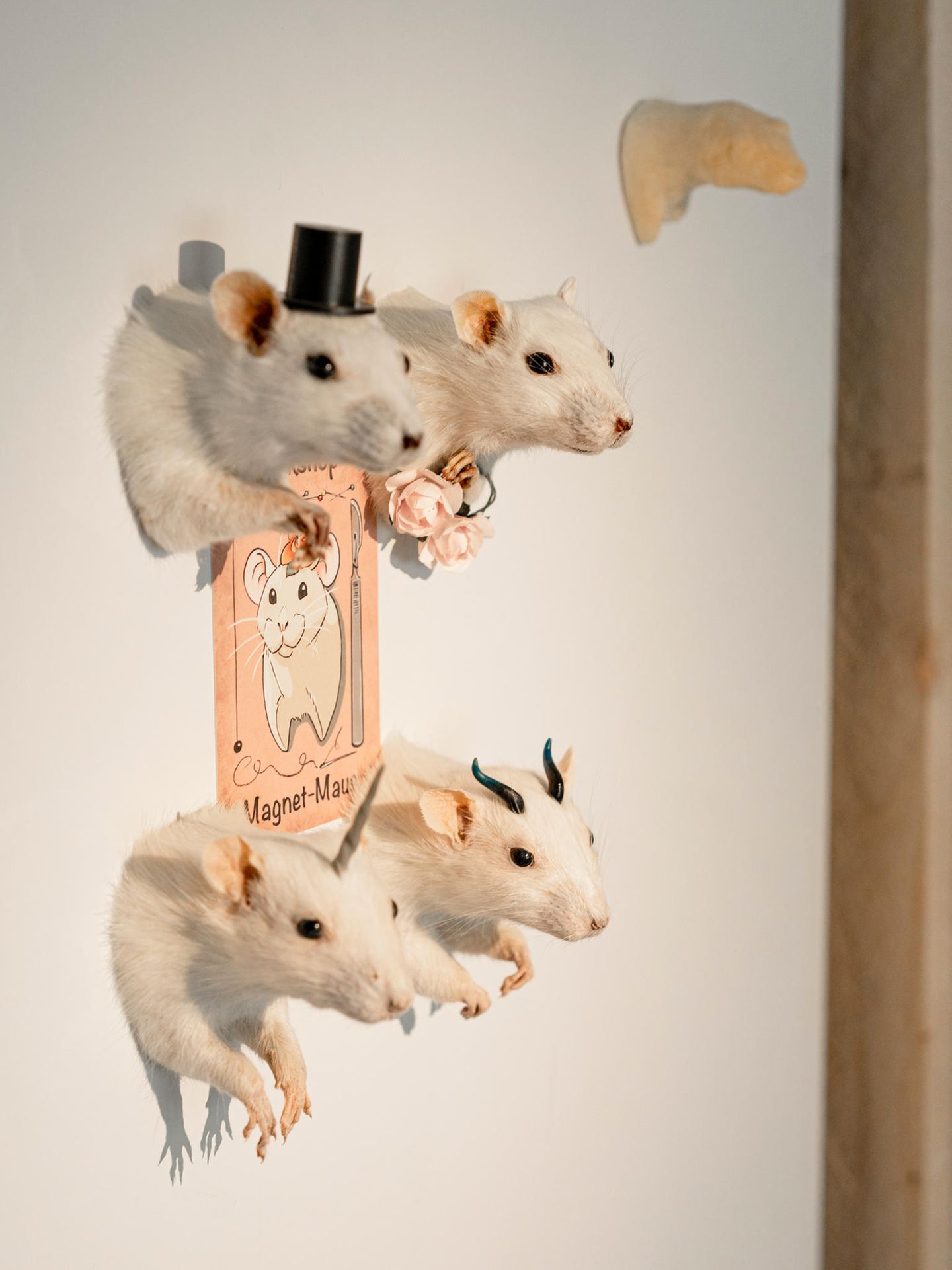 Vier Mäuse-Präparate hängen an der wand. Alle vier sind weis und mit Hut, Einhorn, zwei Horn und Rosen geschmückt.