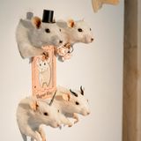 Vier Mäuse-Präparate hängen an der wand. Alle vier sind weis und mit Hut, Einhorn, zwei Horn und Rosen geschmückt.