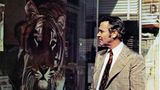 Jack Lemmon steht in "Save the Tiger" vor einem Schaufenster, auf dem ein Tigerbild prangt