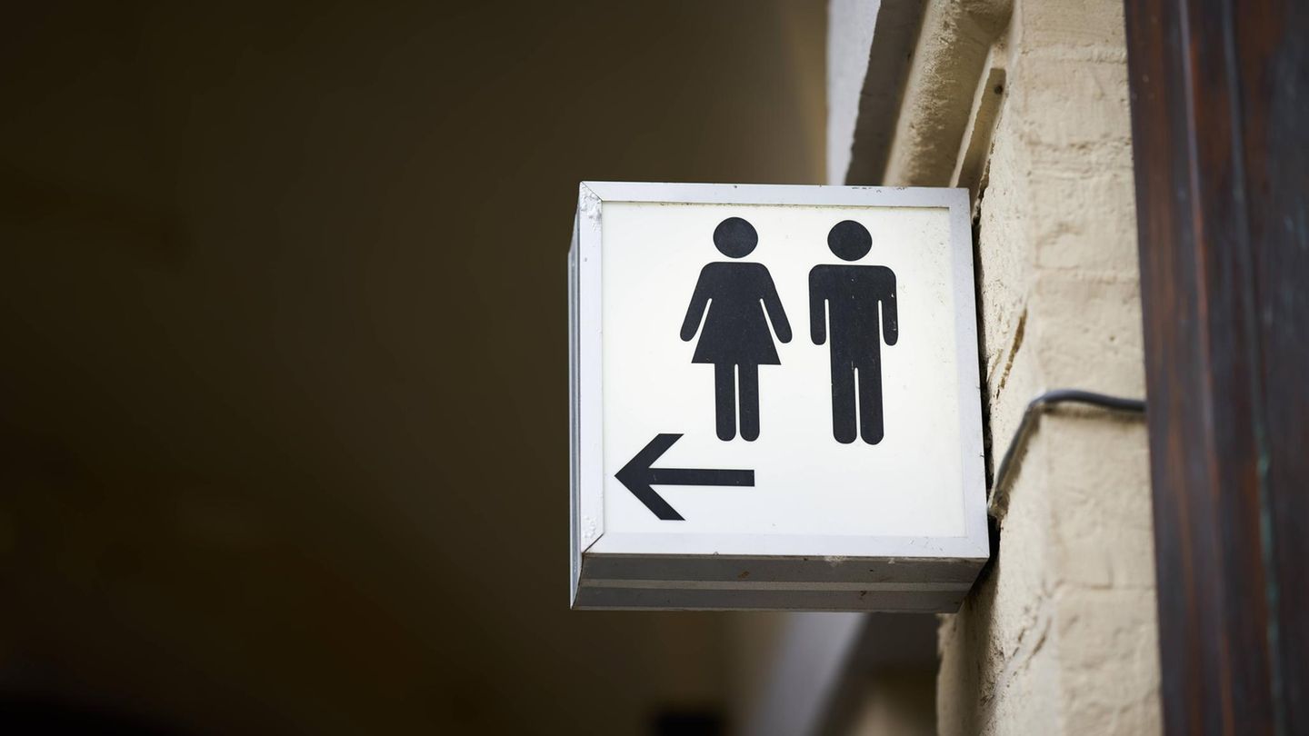 Hinweisschild zu einer öffentlichen Toilette. An österreichischen Autobahnen verfügen sie mittlerweile vermehrt über Hock-WCs